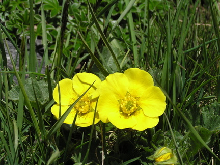 P6200027