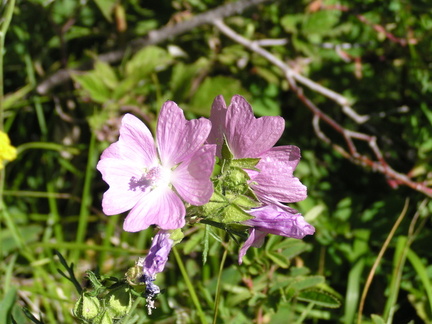 P6200001